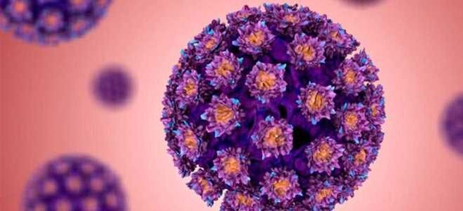 HPV – lidský papilomavirus